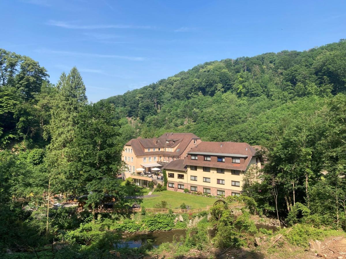 Hotel Fuchs'sche Muehle 4*